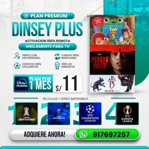 Dis-Castillo Premium – perfil TV