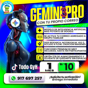 GEMINI 3 PRO personal